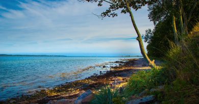 Corse, Ajaccio, Bastia, mountain, beach, sea, cliff, village, maquis, landscape
