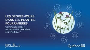 Accéder aux degrés-jours des plantes fourragères : guide pratique
