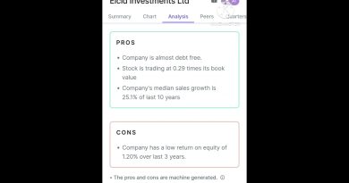 Actions d'Elcid Investments Ltd : Opportunités à saisir