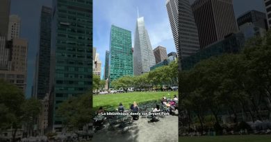 Activités incontournables sur la 5ème Avenue à New York