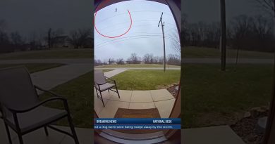 Actualités : Des vents violents soulèvent une vache et un chien