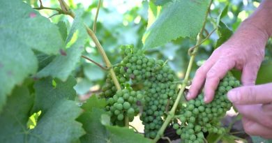 Actualités estivales : Avancement des travaux