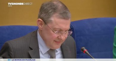 Affaire Benalla : le Sénat l'accuse de mensonge