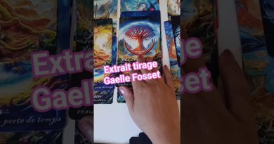 Affaire Gaelle Fosset : Disparition et Voyance en Question