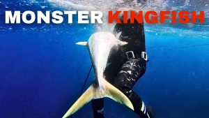 Affrontement avec le redoutable Thon Jaune en Apnée