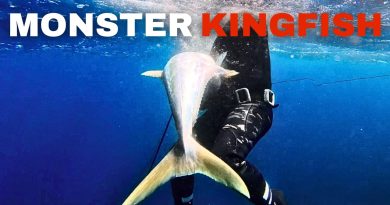 Affrontement avec le redoutable Thon Jaune en Apnée