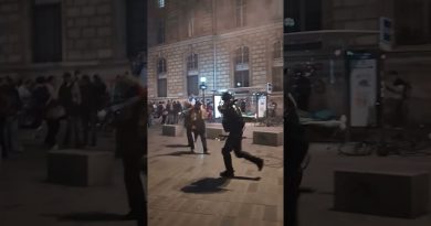 Affrontements à Paris : Manifestation anti-Israël contre la police