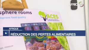 Afrique : 40 % des aliments perdus chaque année