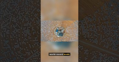 Afrique : Émergence de la Superpuissance Solaire Mondiale