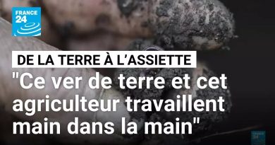 Agriculture sans pesticides : protéger toute la chaîne alimentaire
