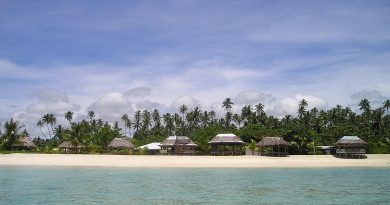 Guadeloupe, Basse-Terre, Pointe-à-Pitre, volcano, beach, palm, waterfall, Creole, island