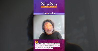 Alberto Mayol : Parisi, impacté par le vote utile dans les sondages