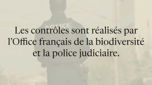Alcool et chasse : un flou juridique inquiétant !