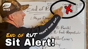 Alerte : Fin de la période de rut et conditions climatiques