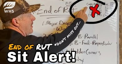 Alerte : Fin de la période de rut et conditions climatiques