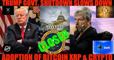 Alerte : La fermeture du gouvernement ralentit l'adoption de Bitcoin et XRP !