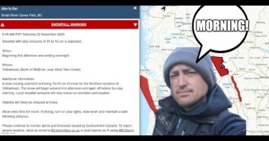Alerte Neige : Chutes de Neige à Yellowhead dès l'Aube !