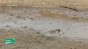 Alertes de pluie : Conseils pour les agriculteurs 07/10/2025