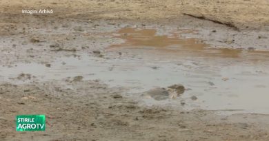 Alertes de pluie : Conseils pour les agriculteurs 07/10/2025