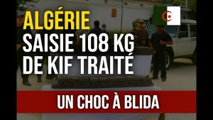 Algérie : 108 kg de kif traité saisis à Blida