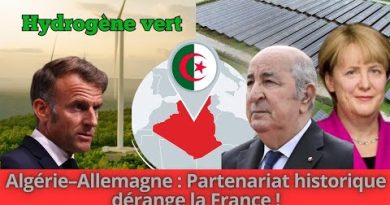 Algérie-Allemagne : Un mégaprojet énergétique qui rayonne !