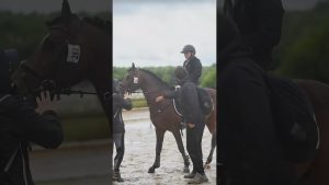 Alice Fort et Hold Up Gravière : Bronze au CCE As Poney Élite