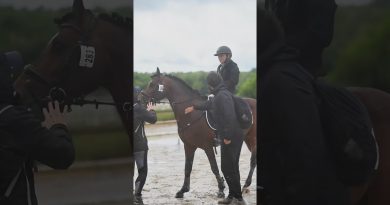 Alice Fort et Hold Up Gravière : Bronze au CCE As Poney Élite