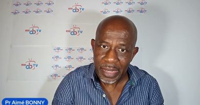 Alice NKOM : Analyse de la Porte-parole du Gouvernement Camerounais