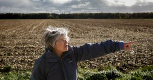 Alsace. À Issenheim et Hatten, au cœur de la bataille contre la bétonisation