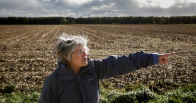 Alsace. À Issenheim et Hatten, au cœur de la bataille contre la bétonisation
