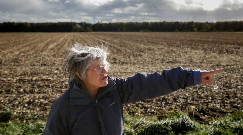 Alsace. À Issenheim et Hatten, au cœur de la bataille contre la bétonisation