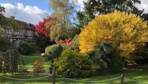 Aménager son jardin : comment bien définir son budget et choisir le bon paysagiste - ici