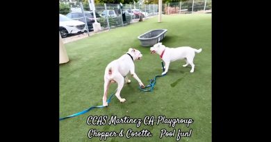 Amusement aquatique avec CCAS Martinez CA-Playgroup