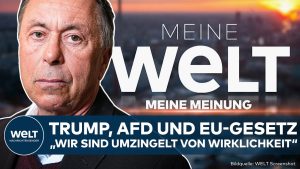 Analyse : Trump, AfD et l'UE - Environnement de réalité