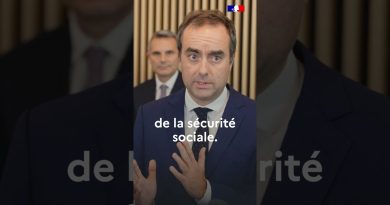 Analyse du Projet de Loi sur les Fraudes Sociales et Fiscales