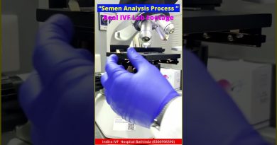 Analyse du sperme en FIV : étapes et importance