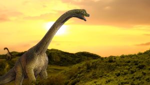 Angeac-Charente , le Jurassic park charentais ! - ICI