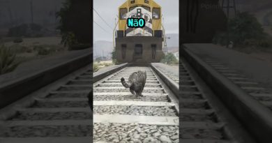 Animaux croisés sous les trains dans GTA 5 : découvrez-les !