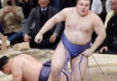 Aonishiki Arata, le réfugié ukrainien devenu un phénomène du sumo au Japon