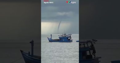 Apparition d'un colossal dragon de mer à Phú Quốc