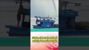 Apparition d'un gigantesque dragon de mer à Phú Quốc