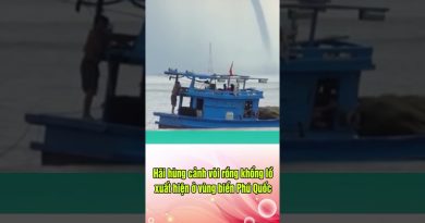 Apparition d'un gigantesque dragon de mer à Phú Quốc