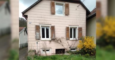 illustration agrandir l