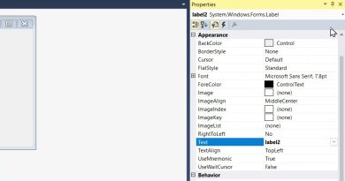Application Windows en C# pour afficher le salaire d'un employé