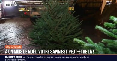 Après 13 ans à Beauval, les deux pandas géants regagnent la Chine