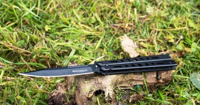 Après les poupées pédopornographiques, un député dénonce la vente d’armes sur Shein