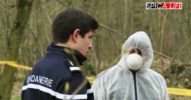 Ariège : Une découverte glaçante secoue la région
