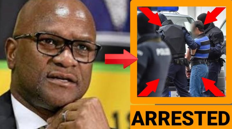 Arrestation à Paris : le tueur de Nathi Mthethwa avoue