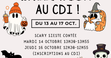 Cinéphildoc : découvrez les activités récentes de notre professeur de documentaire