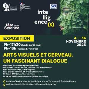 Arts visuels et cerveau, un fascinant dialogue